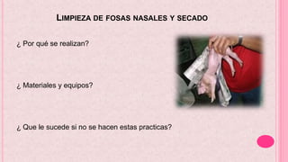 LIMPIEZA DE FOSAS NASALES Y SECADO
¿ Por qué se realizan?
¿ Materiales y equipos?
¿ Que le sucede si no se hacen estas practicas?
 