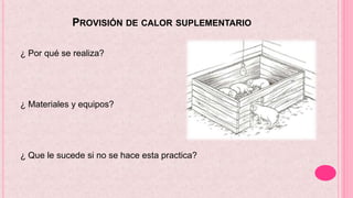 PROVISIÓN DE CALOR SUPLEMENTARIO
¿ Por qué se realiza?
¿ Materiales y equipos?
¿ Que le sucede si no se hace esta practica?
 