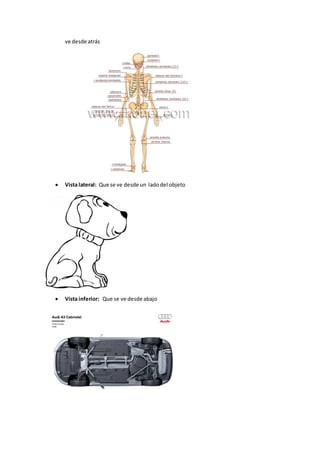 ve desde atrás
Vista lateral: Que se ve desde un ladodel objeto
Vista inferior: Que se ve desde abajo