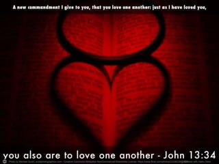 Photo by Michael Scott | scottphotographics.com - Creative Commons Attribution-NonCommercial-ShareAlike License https://www.flickr.com/photos/22306236@NC0re7ated with Haiku Deck 
 