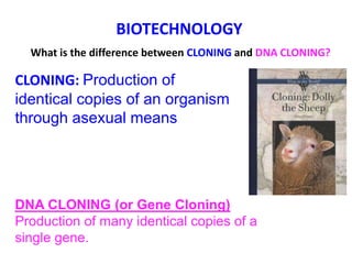 BIOTECHNOLOGY
  What is the difference between CLONING and DNA CLONING?

CLONING: Production of
identical copies of an organism
through asexual means




DNA CLONING (or Gene Cloning)
Production of many identical copies of a
single gene.
 