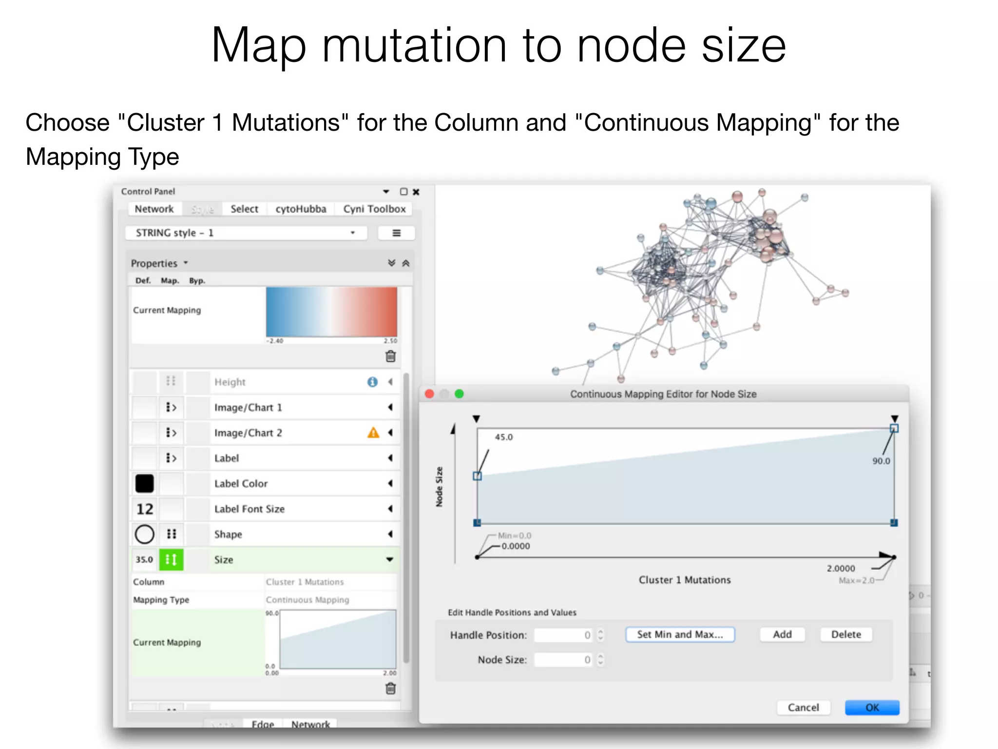 Map mutation to node size
Choose "Cluster 1 Mutations" for the Column and "Continuous Mapping" for the
Mapping Type
 
