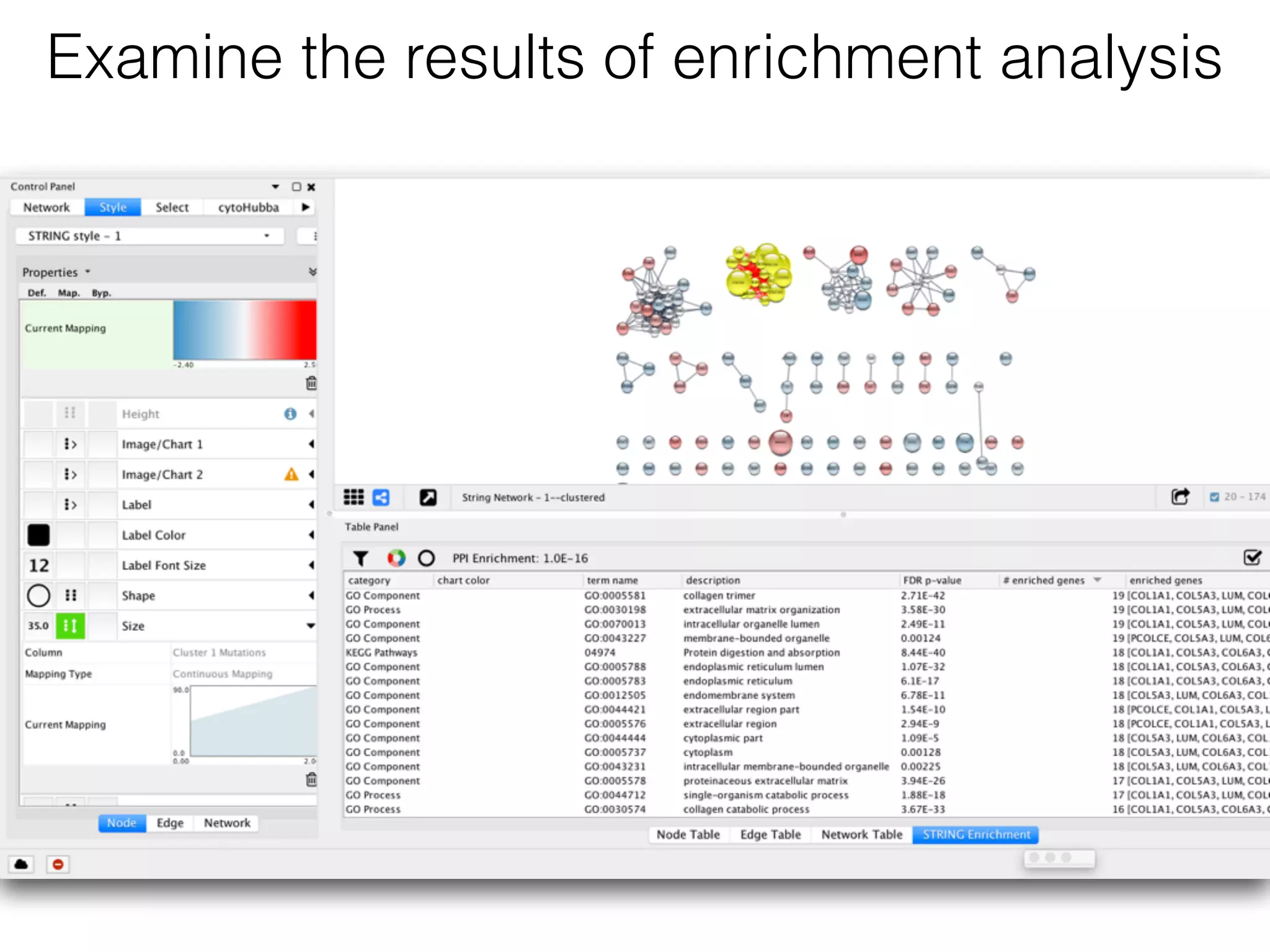 Examine the results of enrichment analysis
 