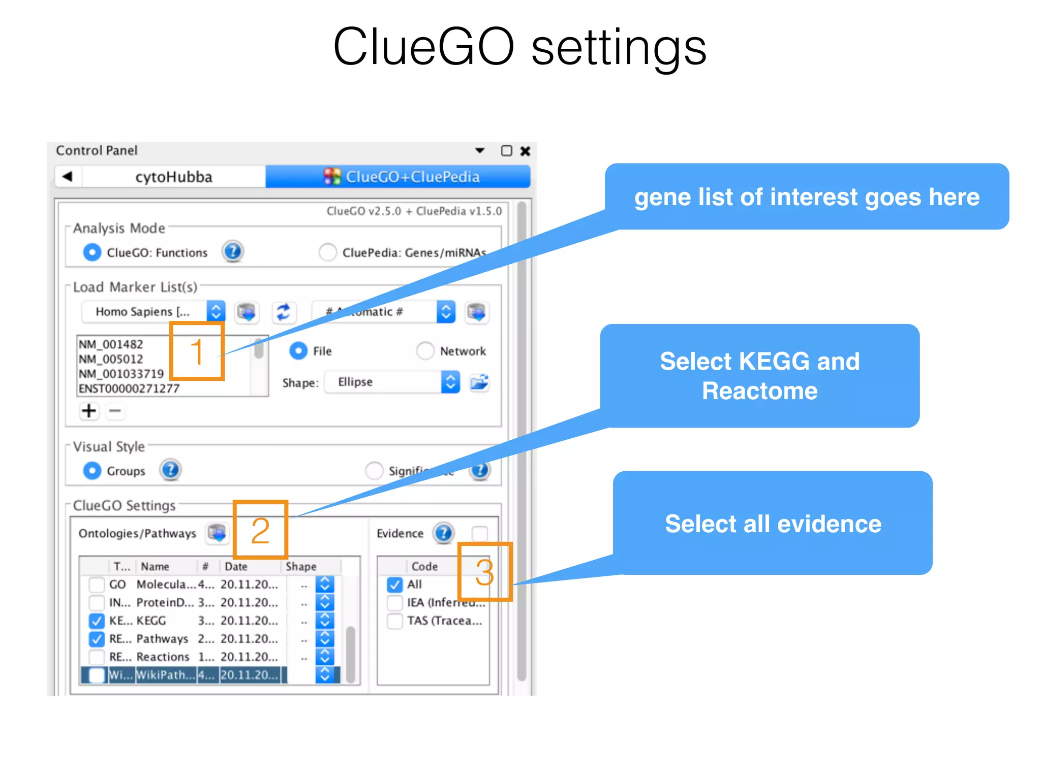 ClueGO settings
1
2
3
gene list of interest goes here
Select KEGG and
Reactome
Select all evidence
 