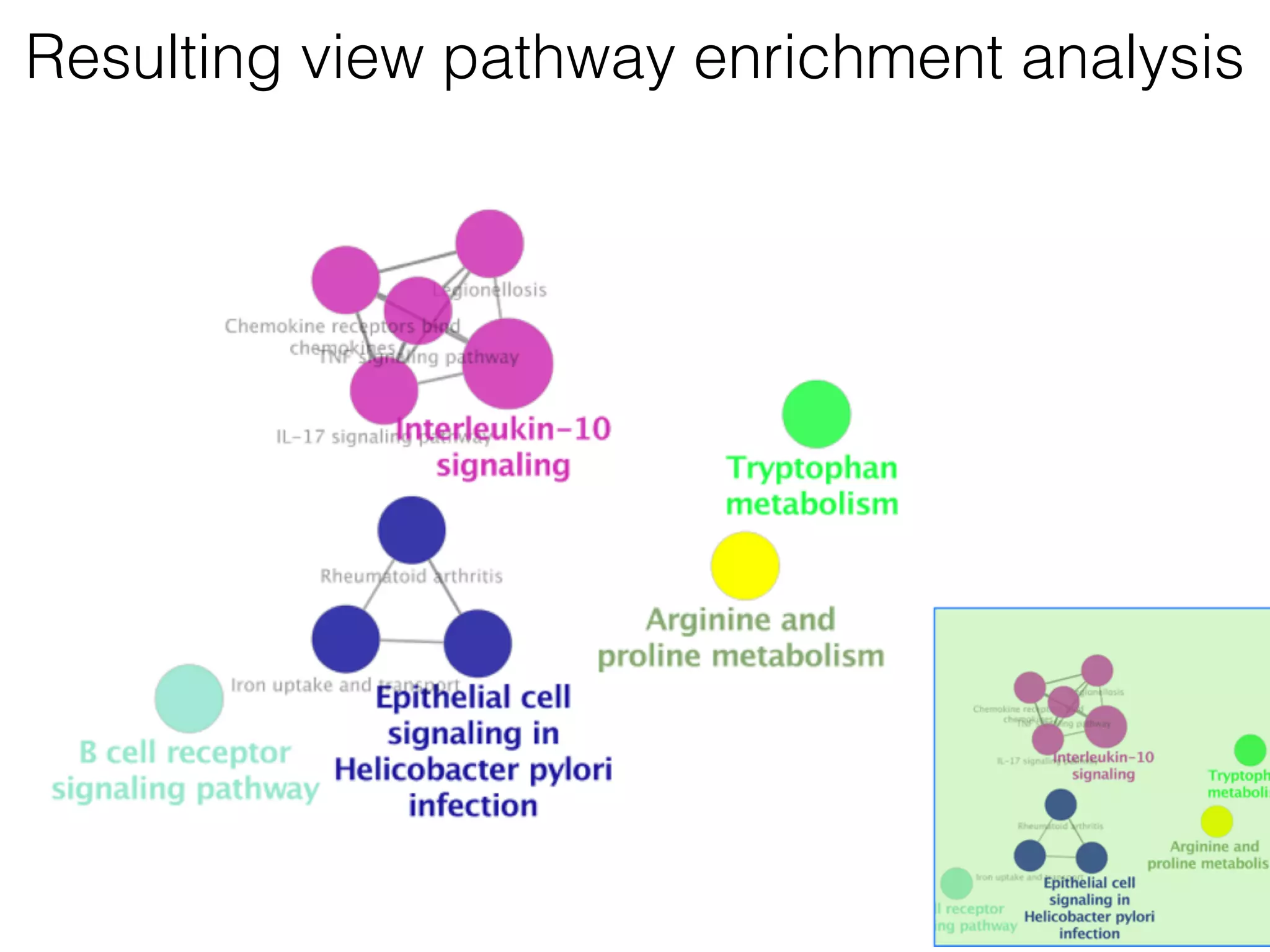 Resulting view pathway enrichment analysis
 