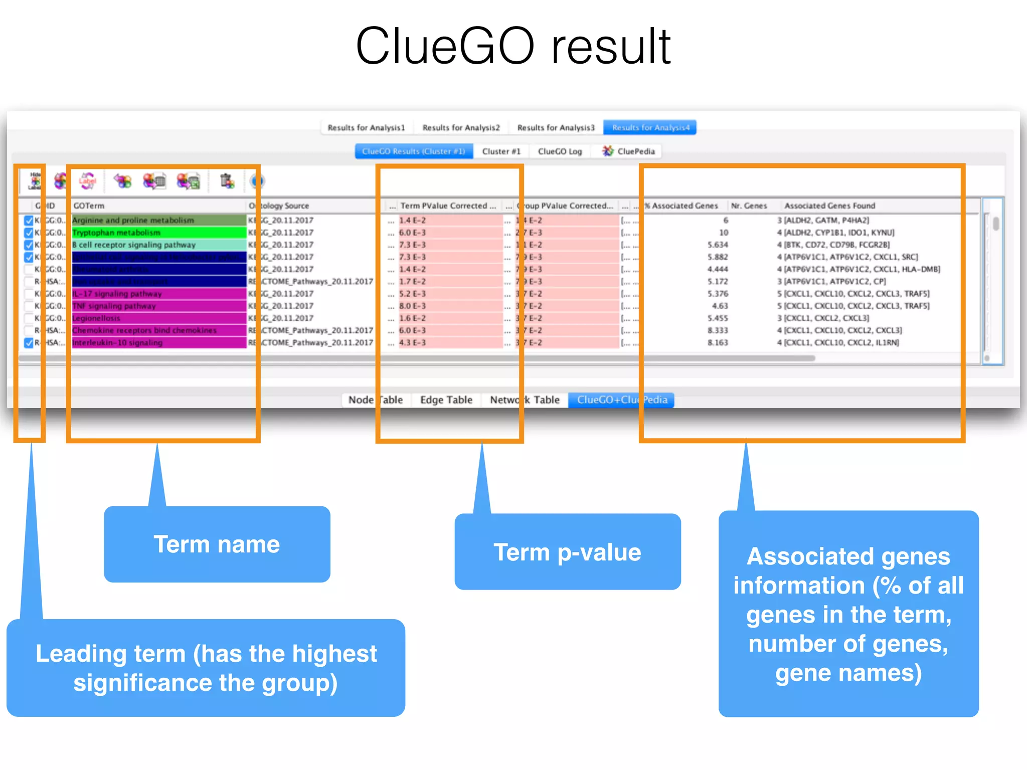 ClueGO result
Leading term (has the highest
signiﬁcance the group)
Term name Term p-value Associated genes 
information (% of all
genes in the term,
number of genes, 
gene names)
 