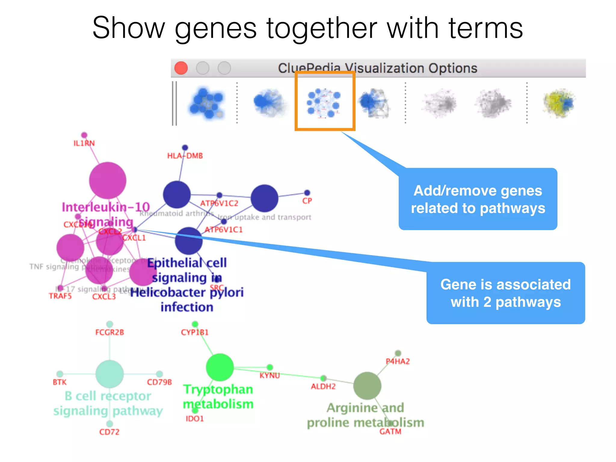 Show genes together with terms
Add/remove genes 
related to pathways
Gene is associated
with 2 pathways
 