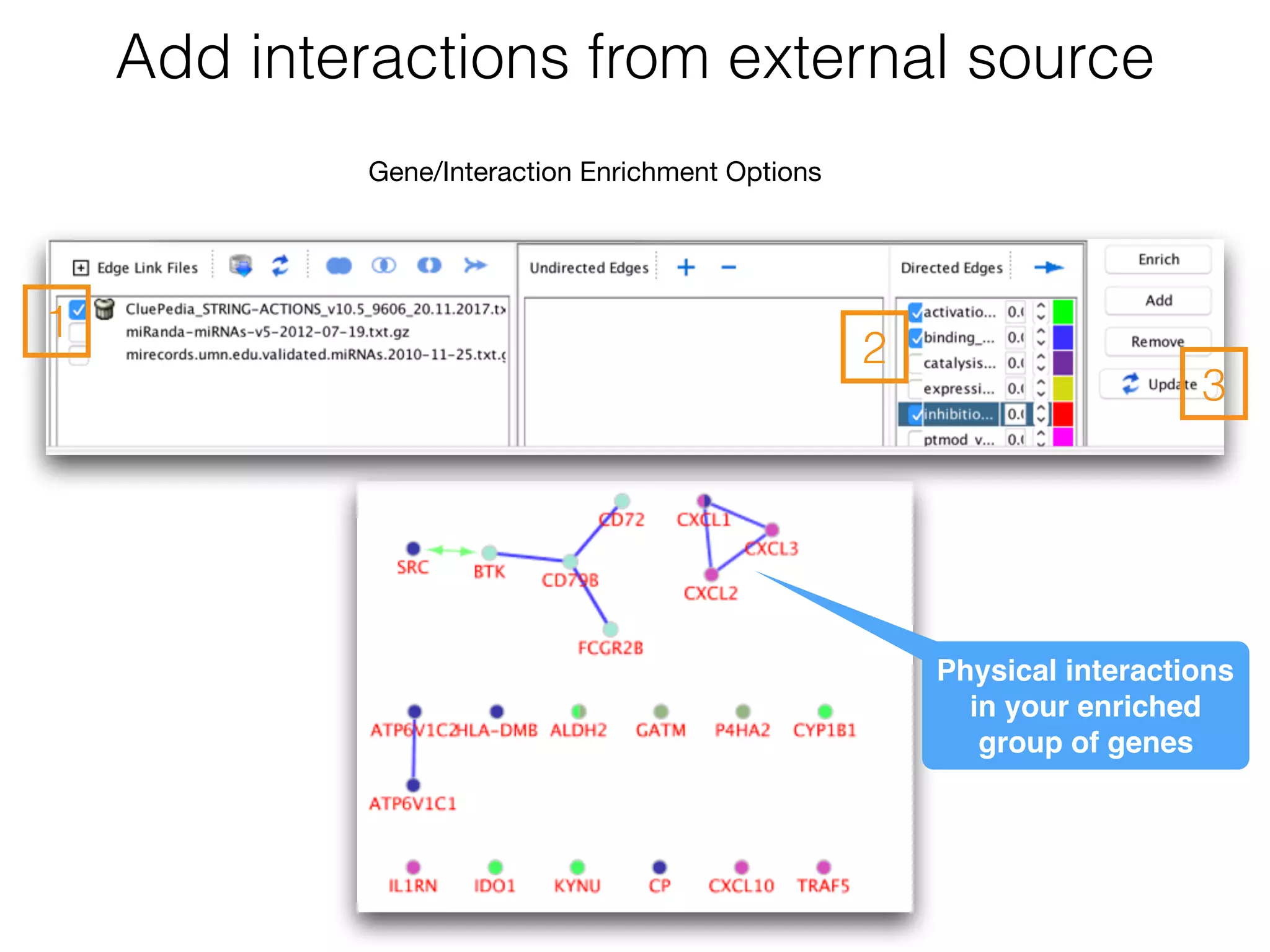 Add interactions from external source
1
2
3
Gene/Interaction Enrichment Options
Physical interactions
in your enriched
group of genes
 