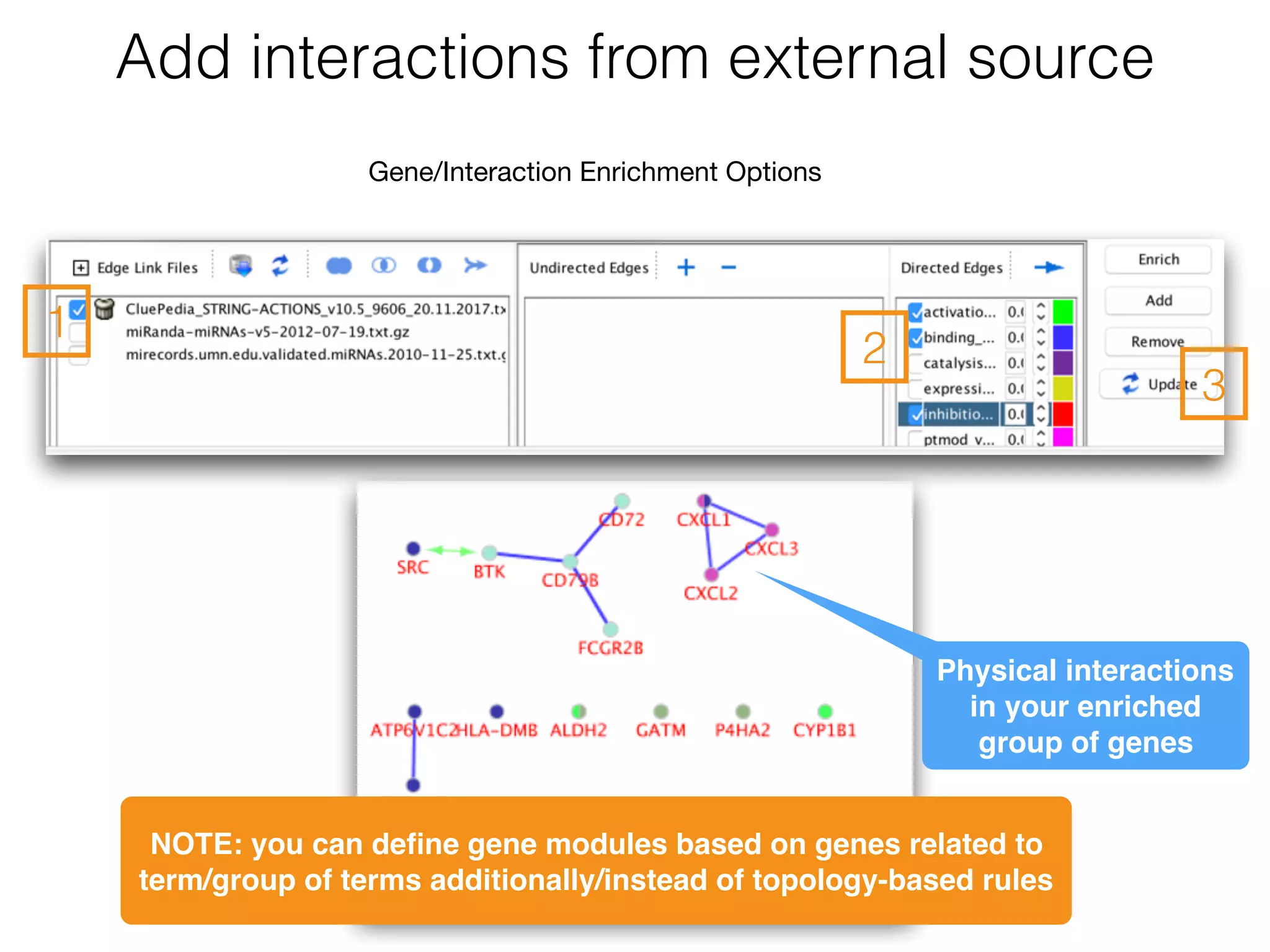 Add interactions from external source
1
2
3
Gene/Interaction Enrichment Options
Physical interactions
in your enriched
group of genes
NOTE: you can deﬁne gene modules based on genes related to
term/group of terms additionally/instead of topology-based rules
 
