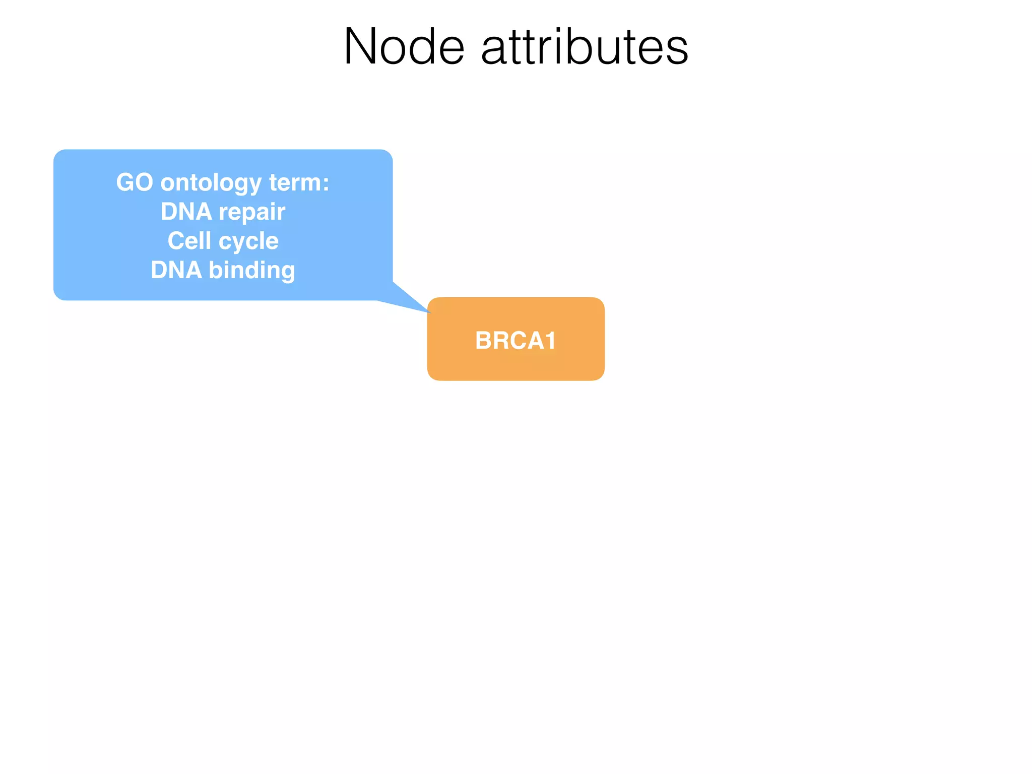 BRCA1
Node attributes
GO ontology term: 
DNA repair 
Cell cycle 
DNA binding
 