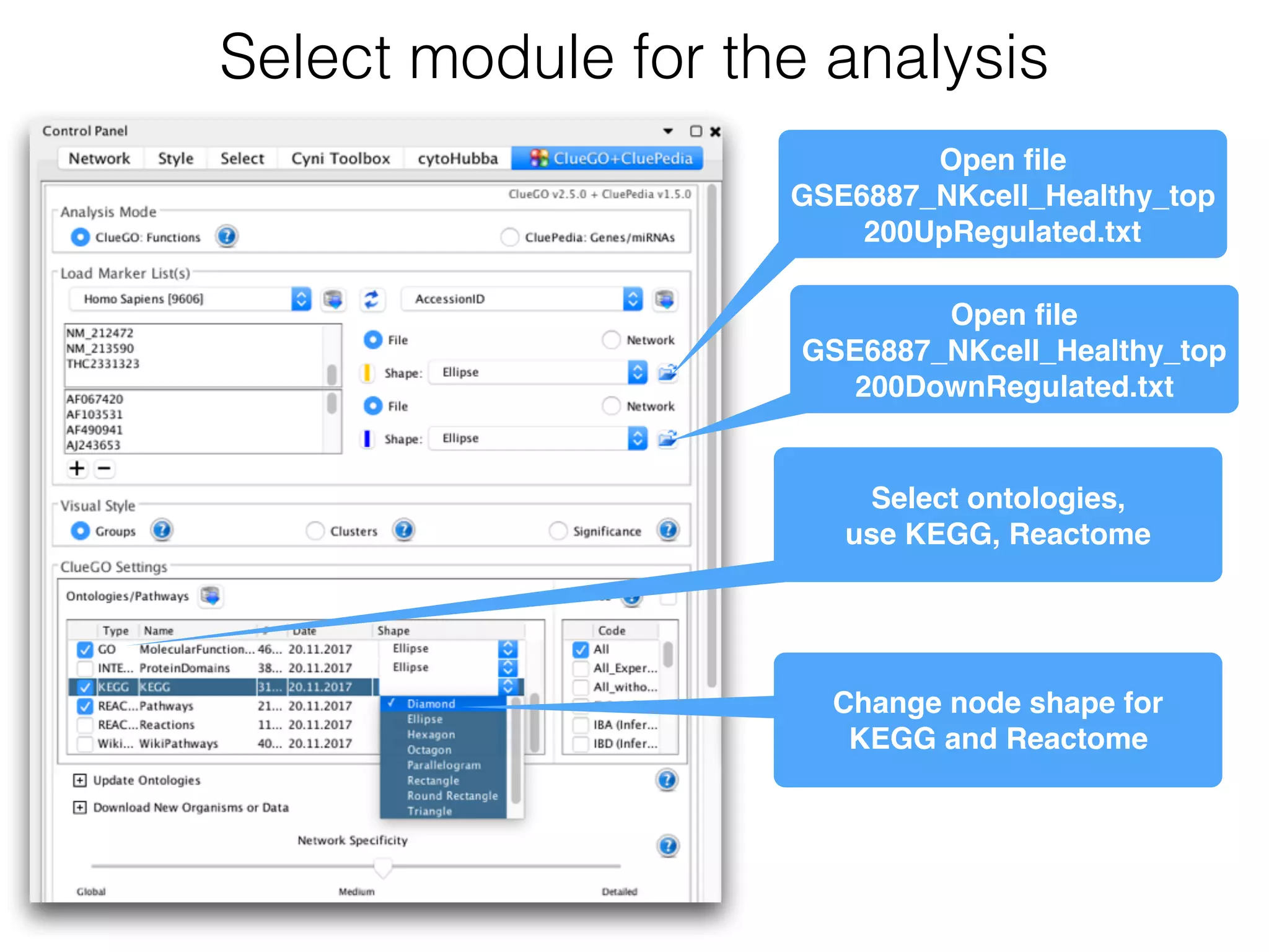 Select module for the analysis
Open ﬁle
GSE6887_NKcell_Healthy_top
200UpRegulated.txt
Open ﬁle
GSE6887_NKcell_Healthy_top
200DownRegulated.txt
Select ontologies, 
use KEGG, Reactome
Change node shape for 
KEGG and Reactome
 