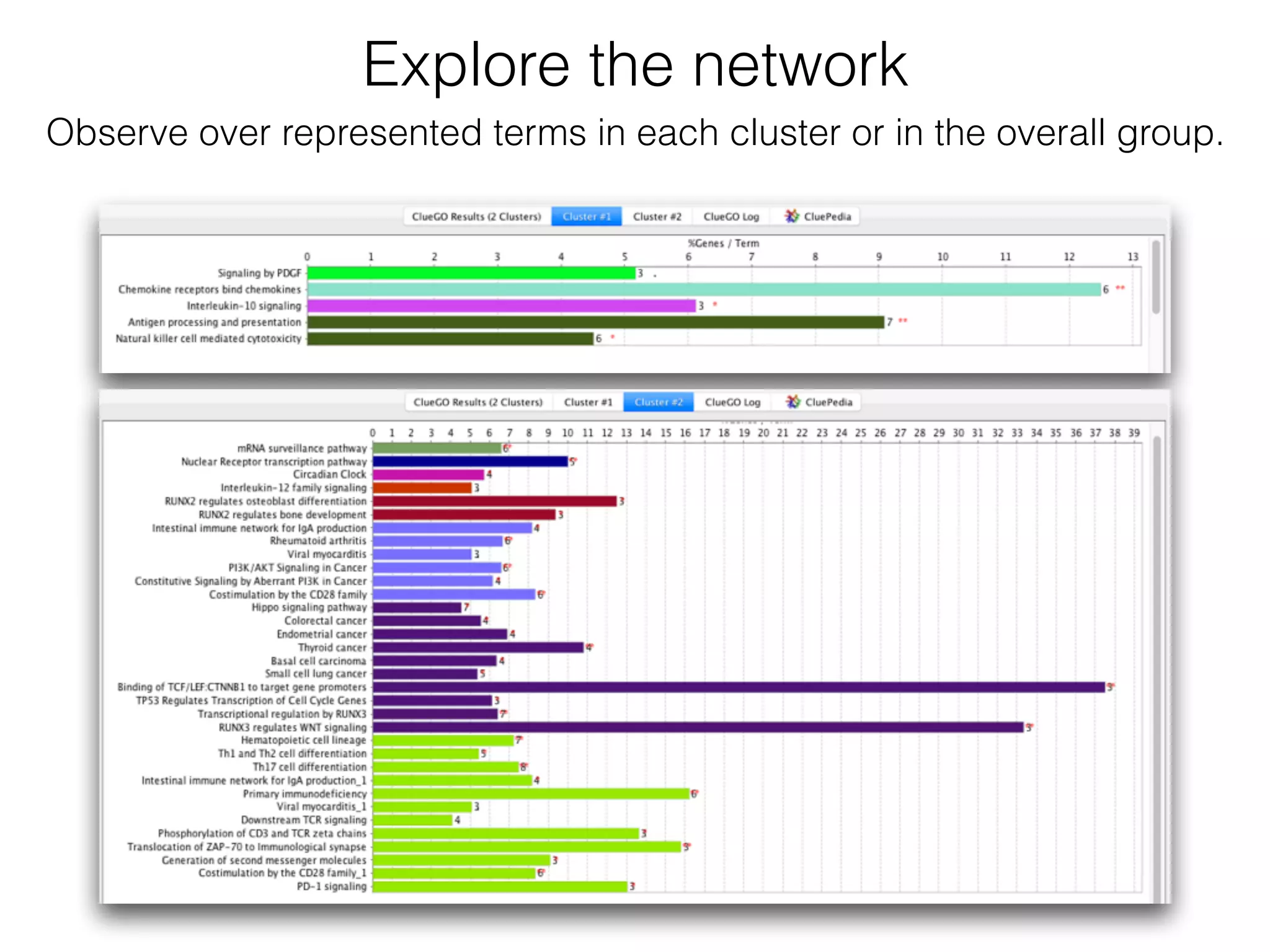 Explore the network
Observe over represented terms in each cluster or in the overall group.
 