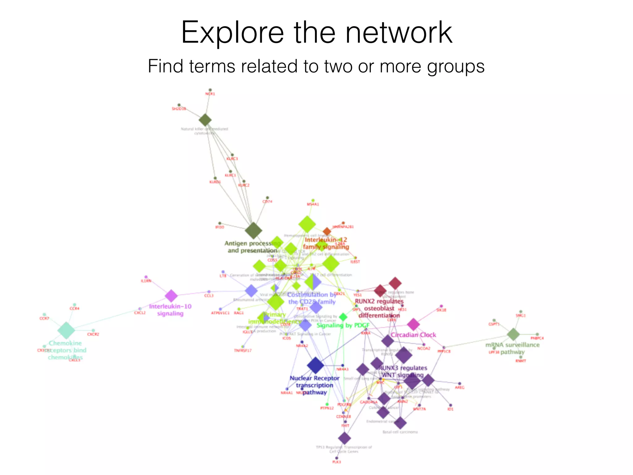 Explore the network
Find terms related to two or more groups
 