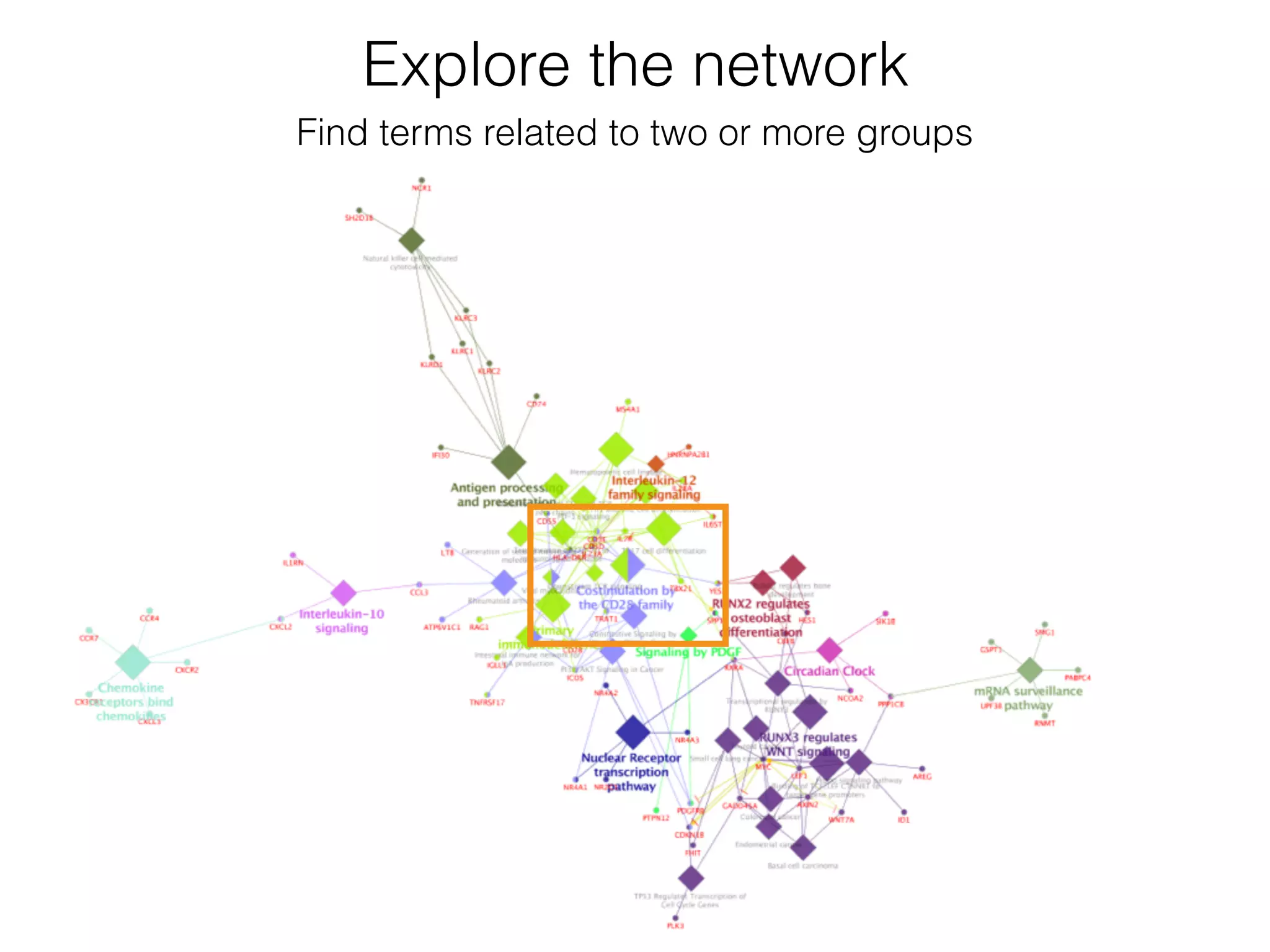 Explore the network
Find terms related to two or more groups
 