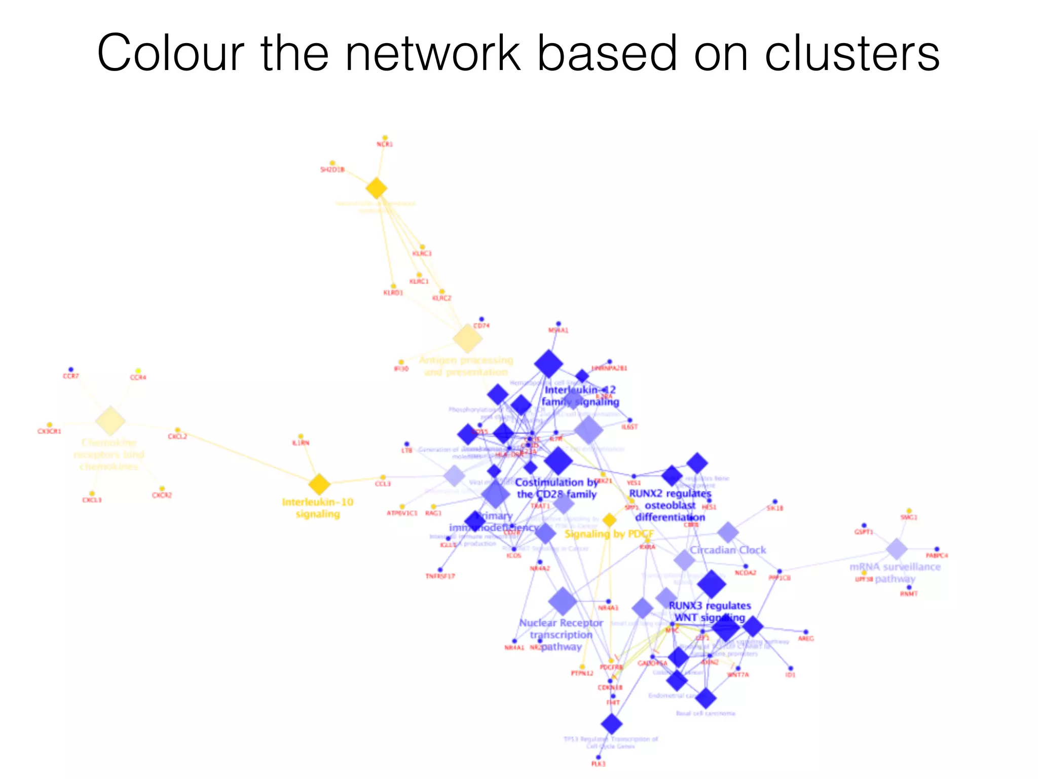 Colour the network based on clusters
 