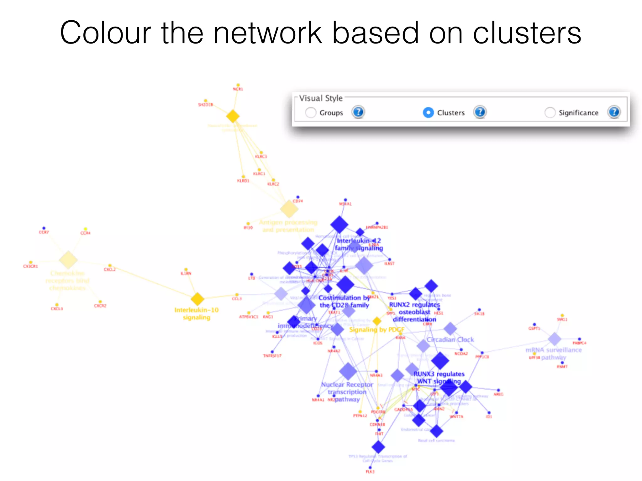 Colour the network based on clusters
 