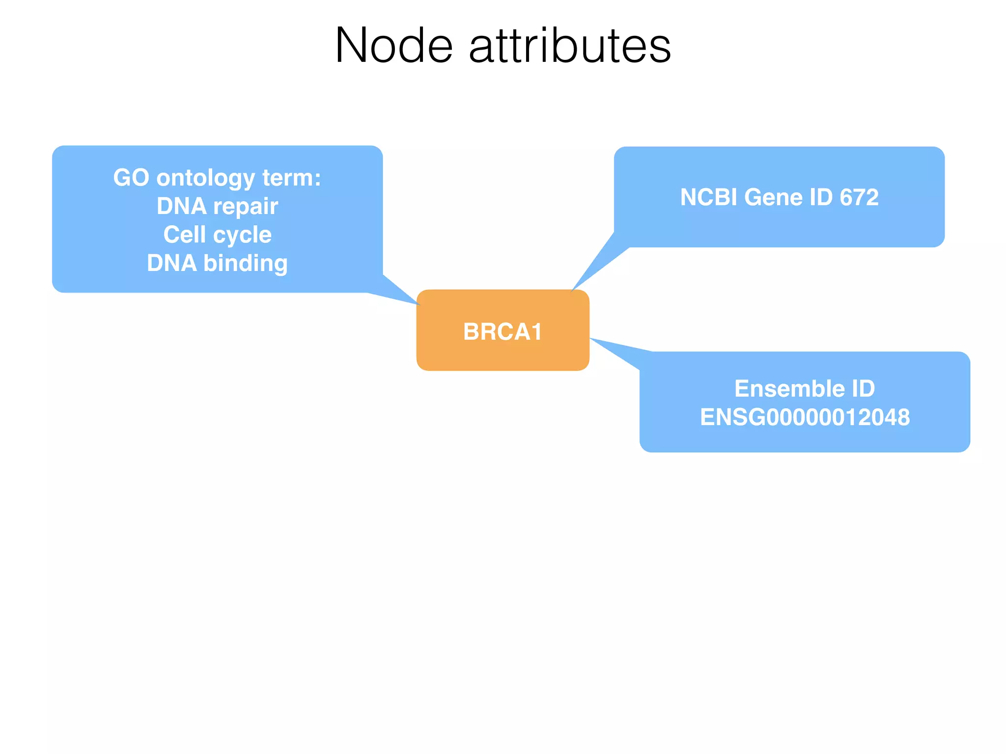 BRCA1
Node attributes
NCBI Gene ID 672
Ensemble ID
ENSG00000012048
GO ontology term: 
DNA repair 
Cell cycle 
DNA binding
 
