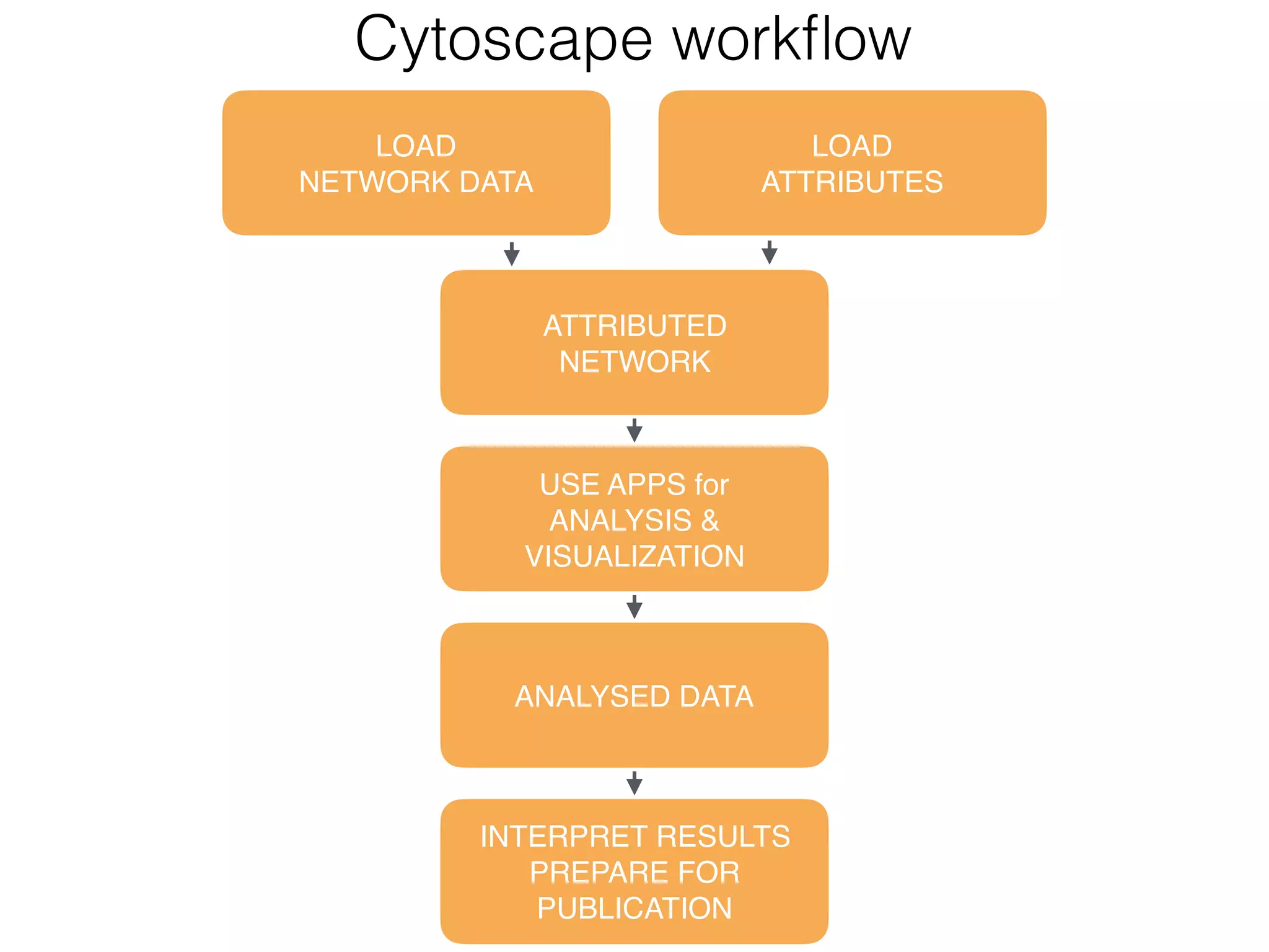 Cytoscape workﬂow
LOAD 
NETWORK DATA
LOAD 
ATTRIBUTES
ATTRIBUTED  
NETWORK
ANALYSED DATA
INTERPRET RESULTS 
PREPARE FOR 
PUBLICATION
USE APPS for 
ANALYSIS & 
VISUALIZATION
 