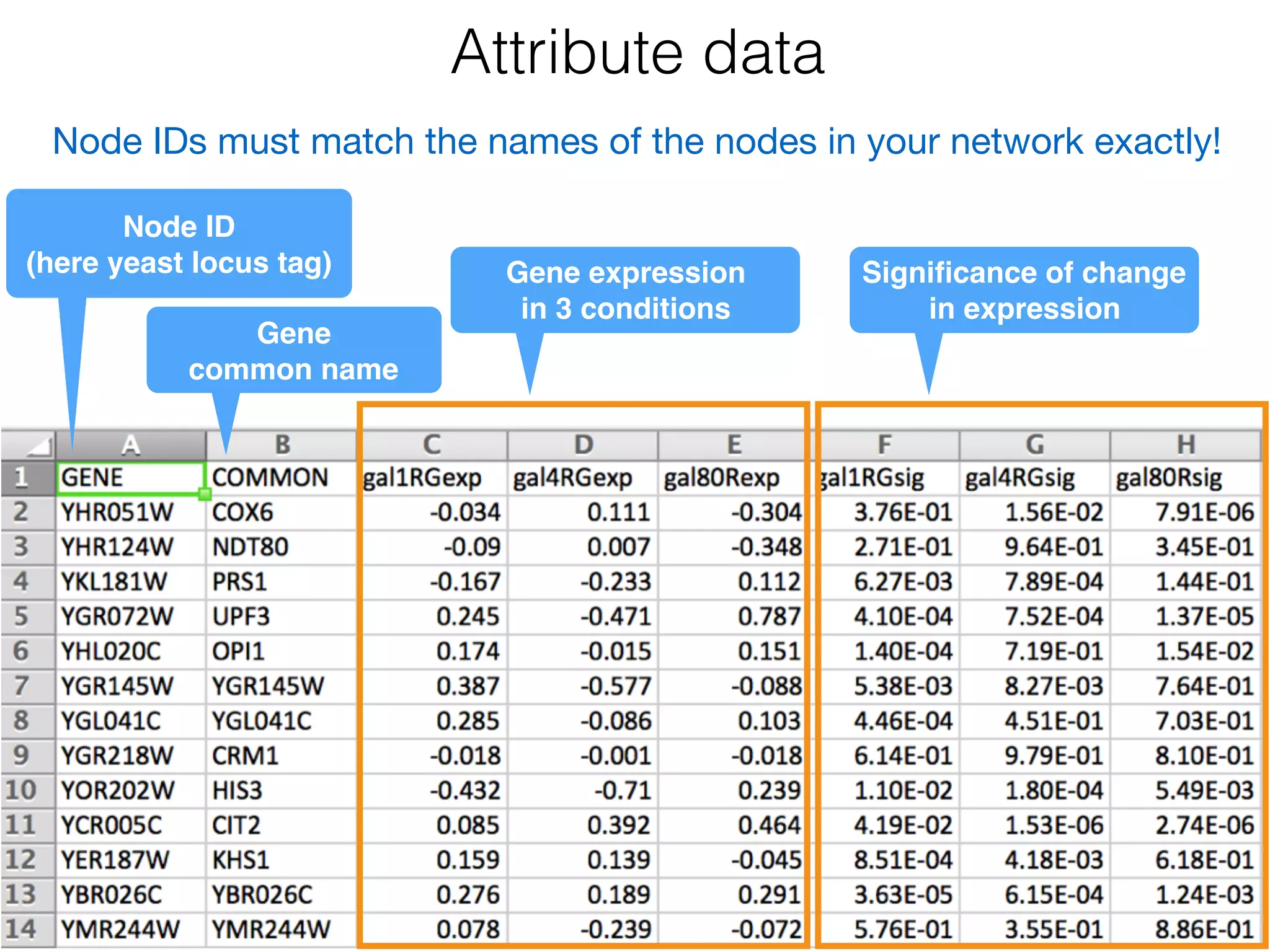 Attribute data
Node ID 
(here yeast locus tag)
Gene
common name
Node IDs must match the names of the nodes in your network exactly!
Gene expression  
in 3 conditions
Signiﬁcance of change
in expression
 