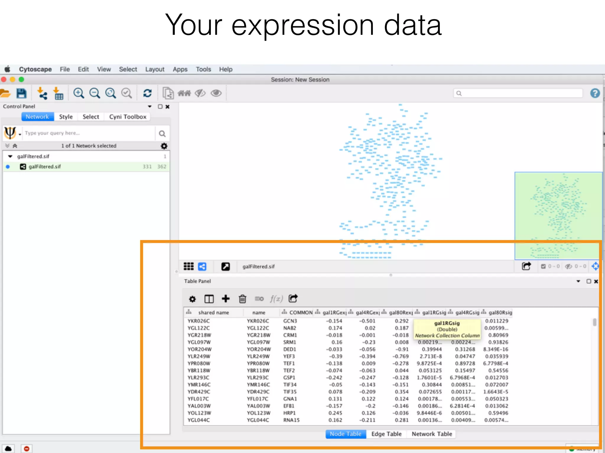 Your expression data
 
