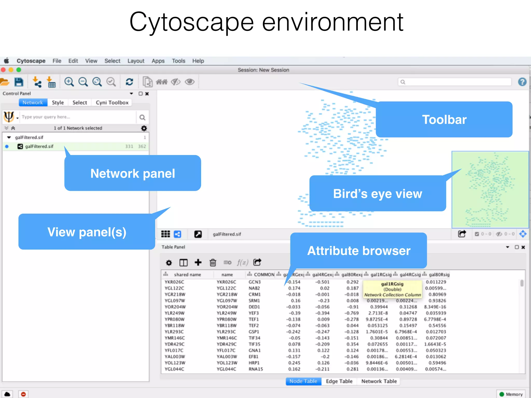Cytoscape environment
View panel(s)
Attribute browser
Toolbar
Bird’s eye view
Network panel
 