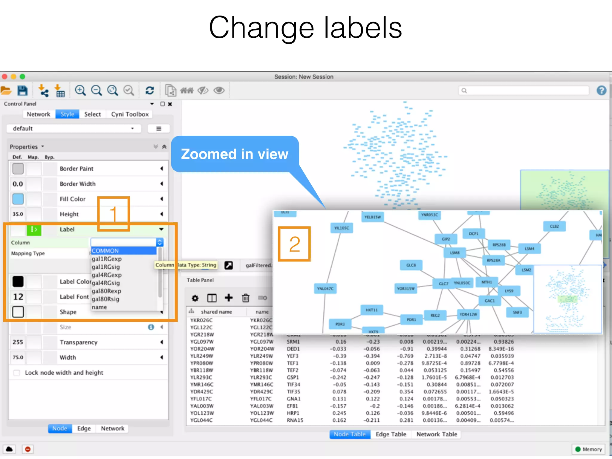 Change labels
Zoomed in view
1
2
 