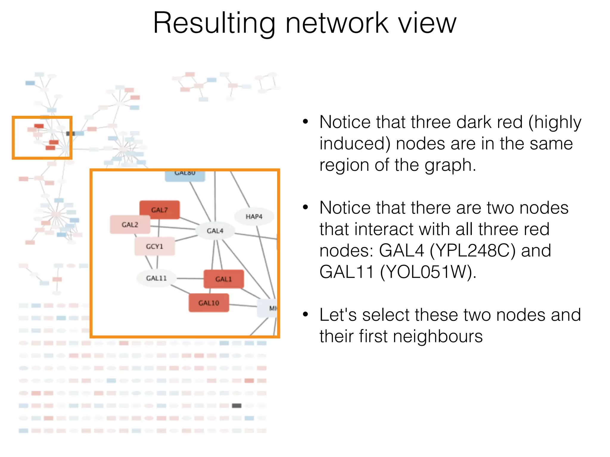 Resulting network view
• Notice that three dark red (highly
induced) nodes are in the same
region of the graph.
• Notice that there are two nodes
that interact with all three red
nodes: GAL4 (YPL248C) and
GAL11 (YOL051W).
• Let's select these two nodes and
their ﬁrst neighbours
 