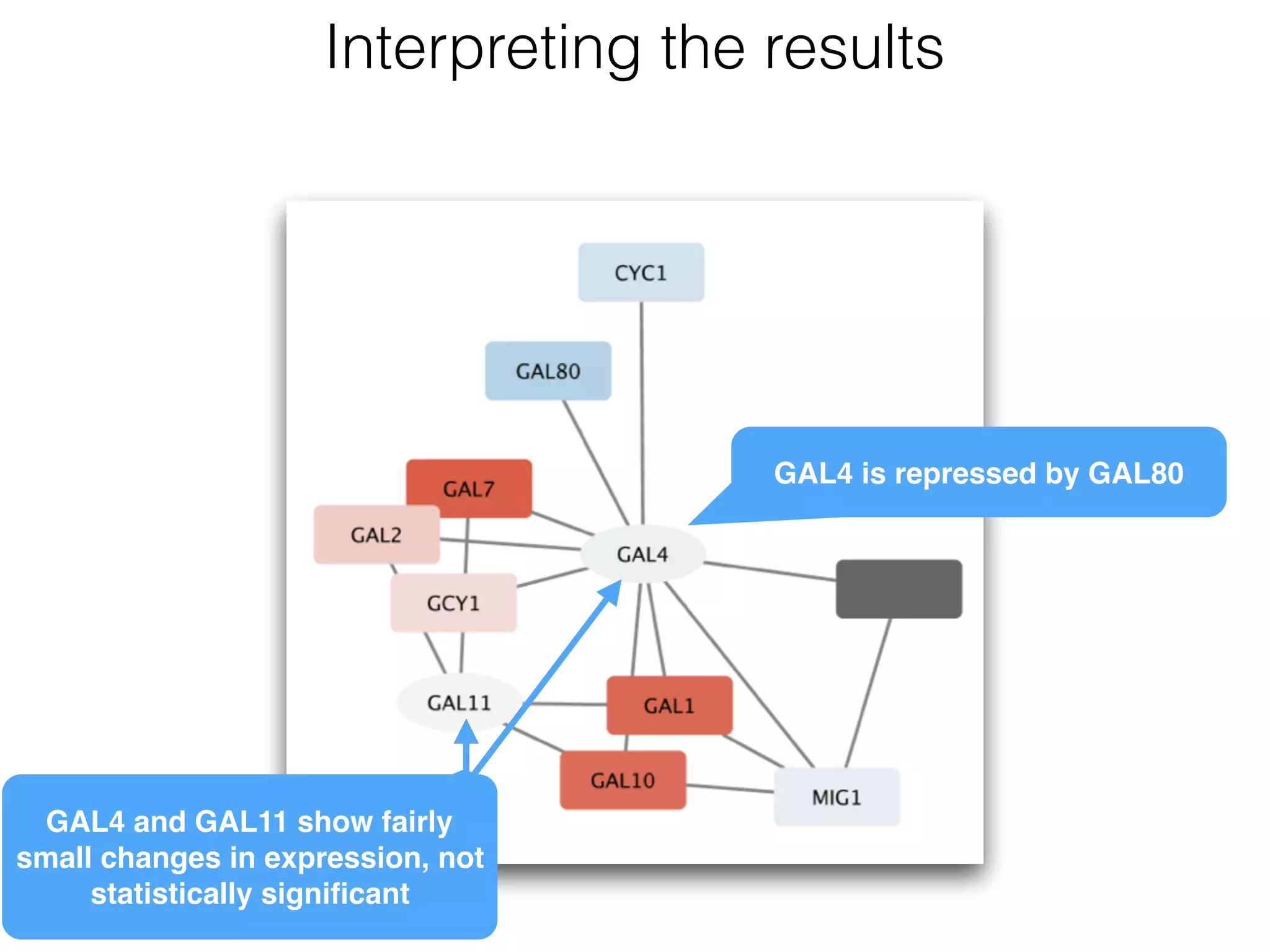 Interpreting the results
GAL4 is repressed by GAL80
GAL4 and GAL11 show fairly
small changes in expression, not
statistically signiﬁcant
 