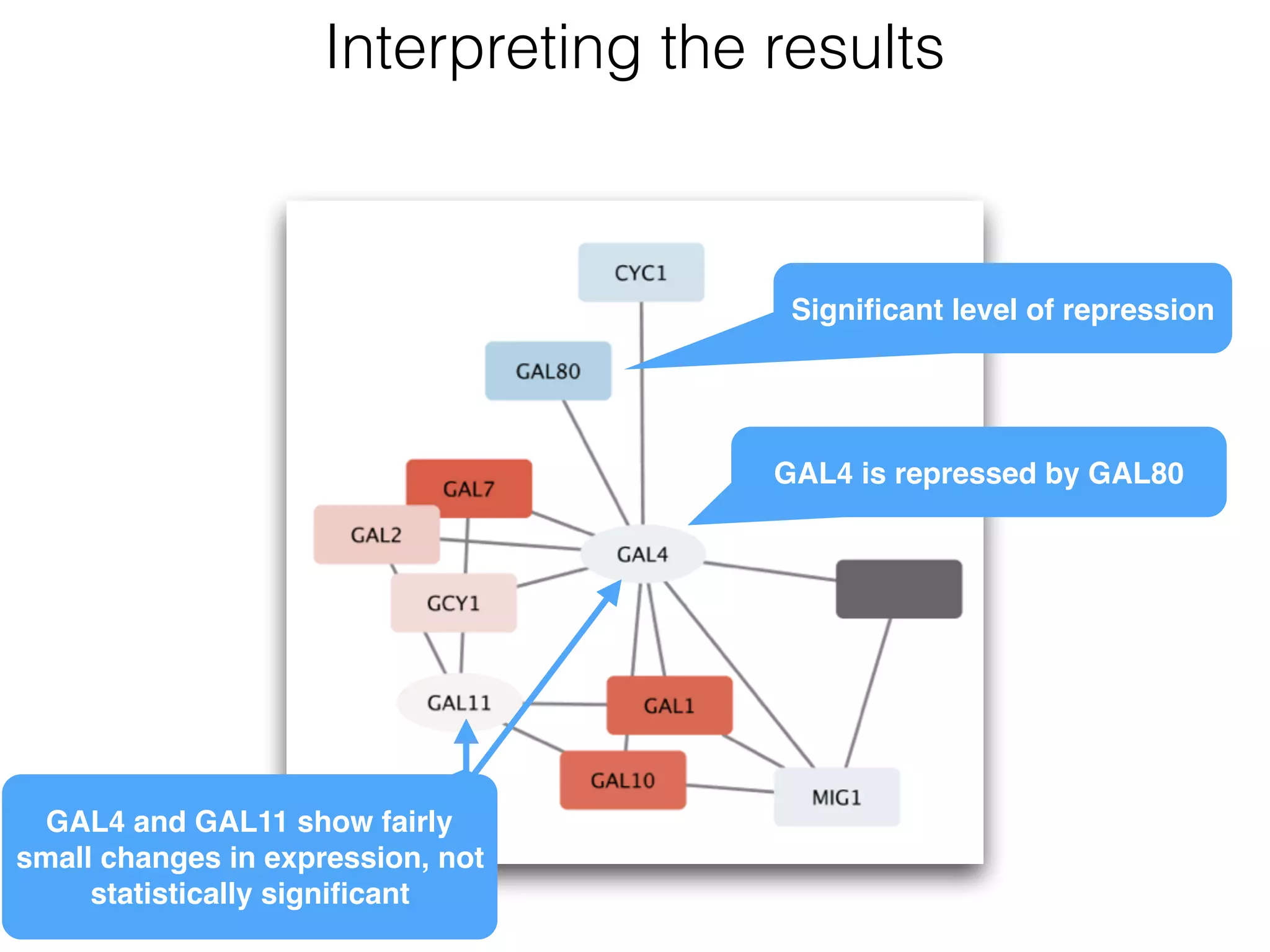 Interpreting the results
GAL4 is repressed by GAL80
GAL4 and GAL11 show fairly
small changes in expression, not
statistically signiﬁcant
Signiﬁcant level of repression
 