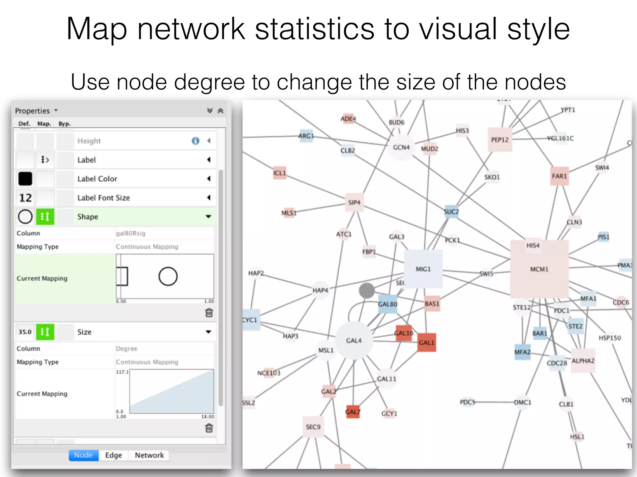 Map network statistics to visual style
Use node degree to change the size of the nodes
 
