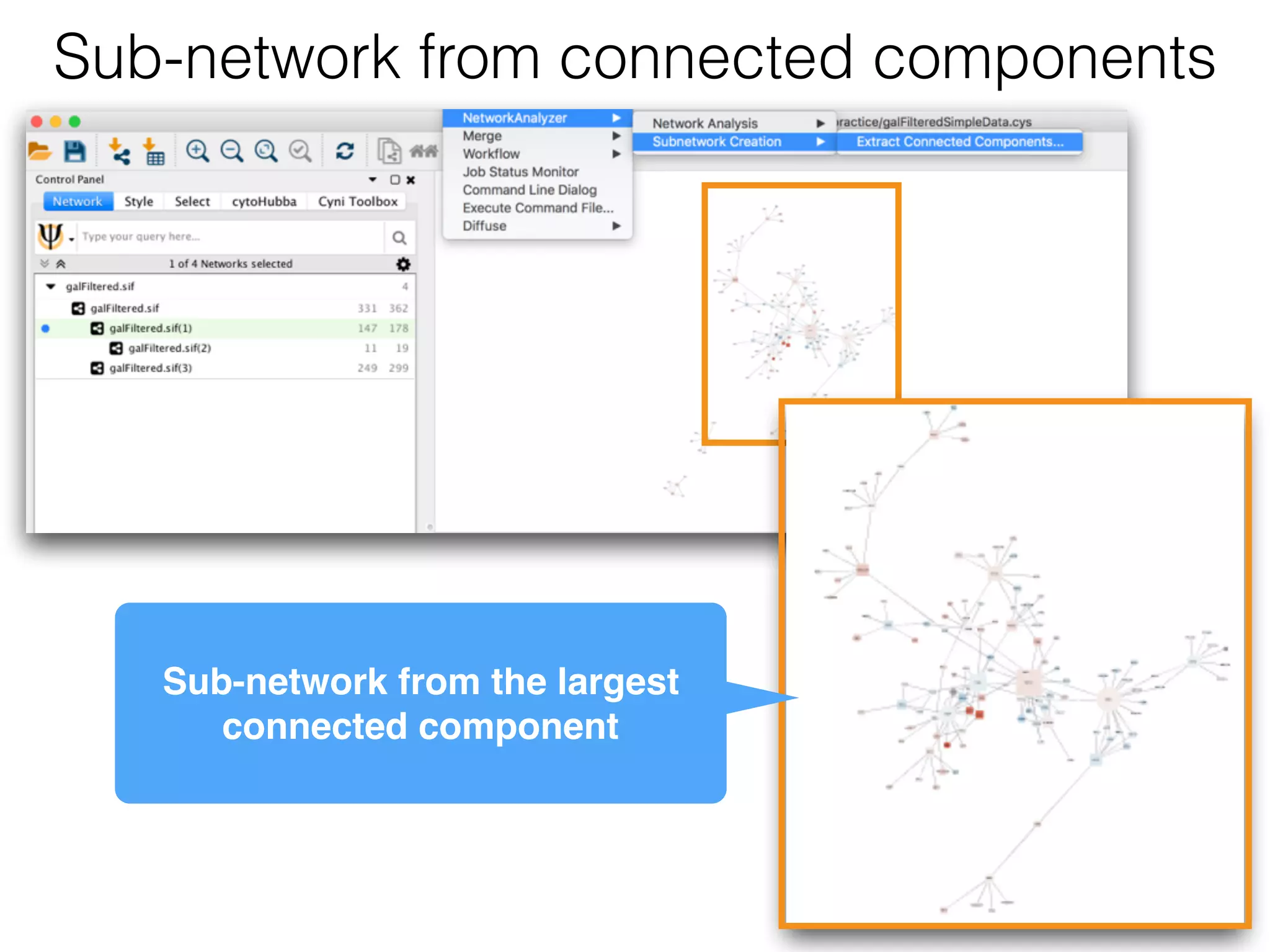 Sub-network from connected components
Sub-network from the largest
connected component
 