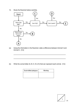 10
14. Study the flowchart below carefully.
(a) Using the information in the flowchart, state a difference between Animal C and
Animal E. [1m]
______________________________________________________________
______________________________________________________________
(b) Write the correct letter (A, B, C, D or E) that can represent each animal. [1m]
Duck-billed platypus Monkey
2
 