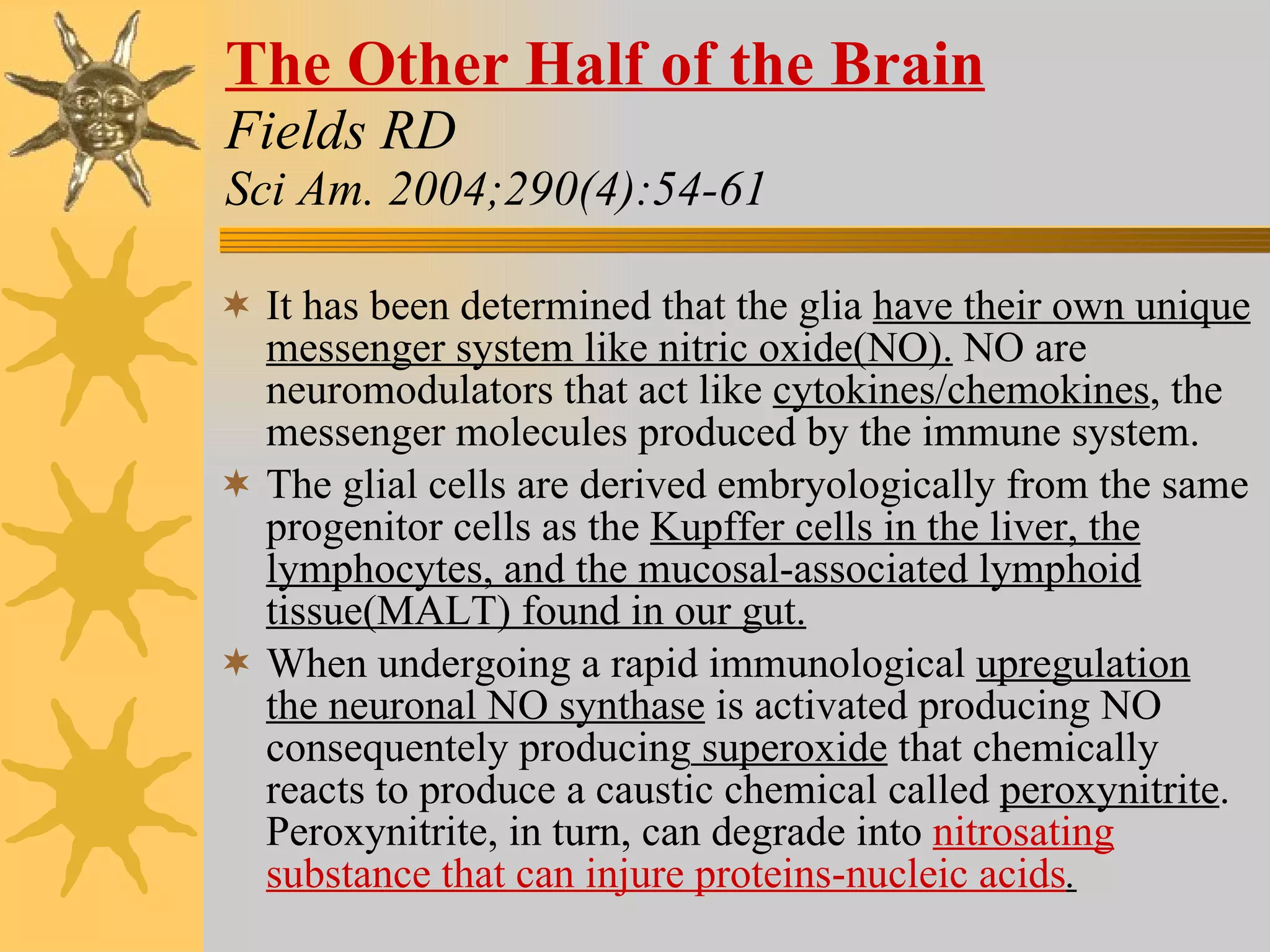 The Other Half of the Brain Fields RD Sci Am. 2004;290(4):54-61 It has been determined that the glia  have their own unique messenger system like nitric oxide(NO).  NO are neuromodulators that act like  cytokines/chemokines , the messenger molecules produced by the immune system. The glial cells are derived embryologically from the same progenitor cells as the  Kupffer cells in the liver, the lymphocytes, and the mucosal-associated lymphoid tissue(MALT) found in our gut. When undergoing a rapid immunological  upregulation the neuronal NO synthase  is activated producing NO consequentely producing  superoxide  that chemically reacts to produce a caustic chemical called  peroxynitrite . Peroxynitrite, in turn, can degrade into  nitrosating substance that can injure proteins-nucleic acids . 