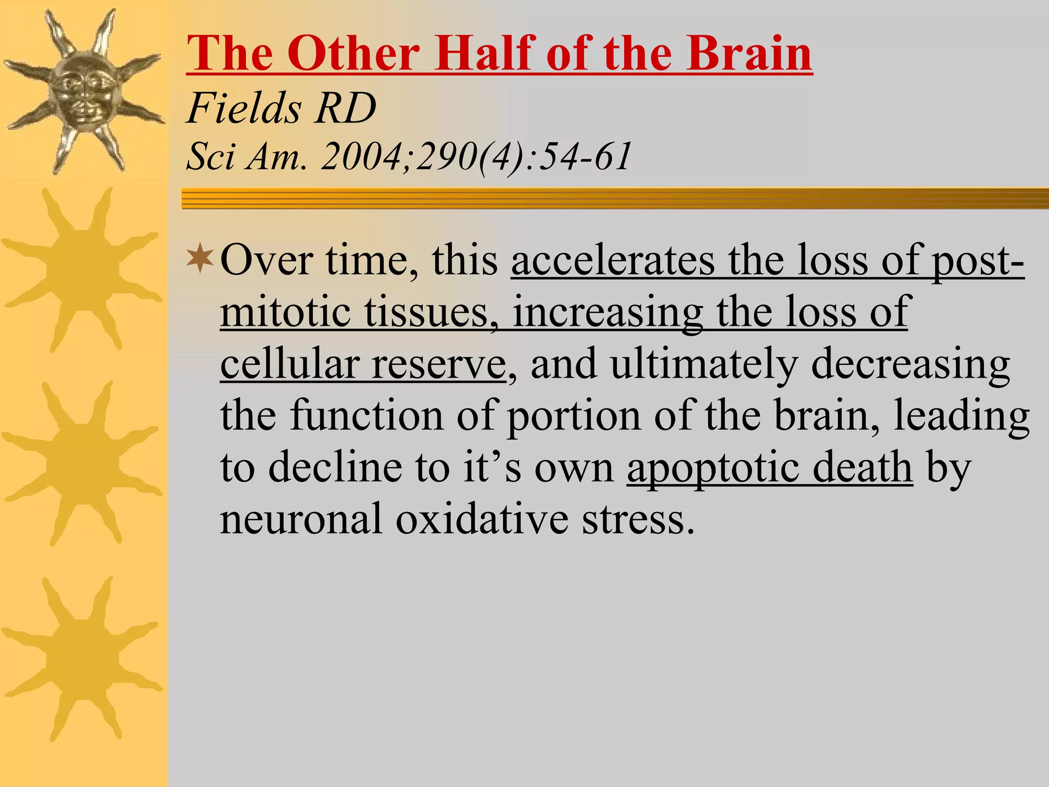 The Other Half of the Brain Fields RD Sci Am. 2004;290(4):54-61 Over time, this  accelerates the loss of post-mitotic tissues, increasing the loss of cellular reserve , and ultimately decreasing the function of portion of the brain, leading to decline to it’s own  apoptotic death  by neuronal oxidative stress. 