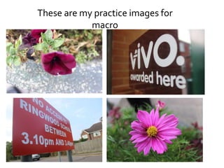 These are my practice images for 
macro 
 