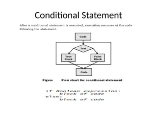 Conditional Statement
 