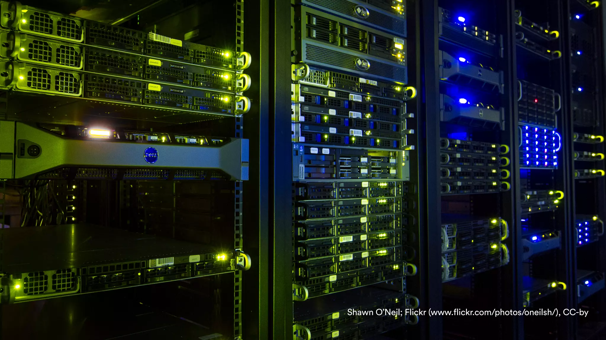 Shawn O’Neil; Flickr (www.flickr.com/photos/oneilsh/), CC-by
 