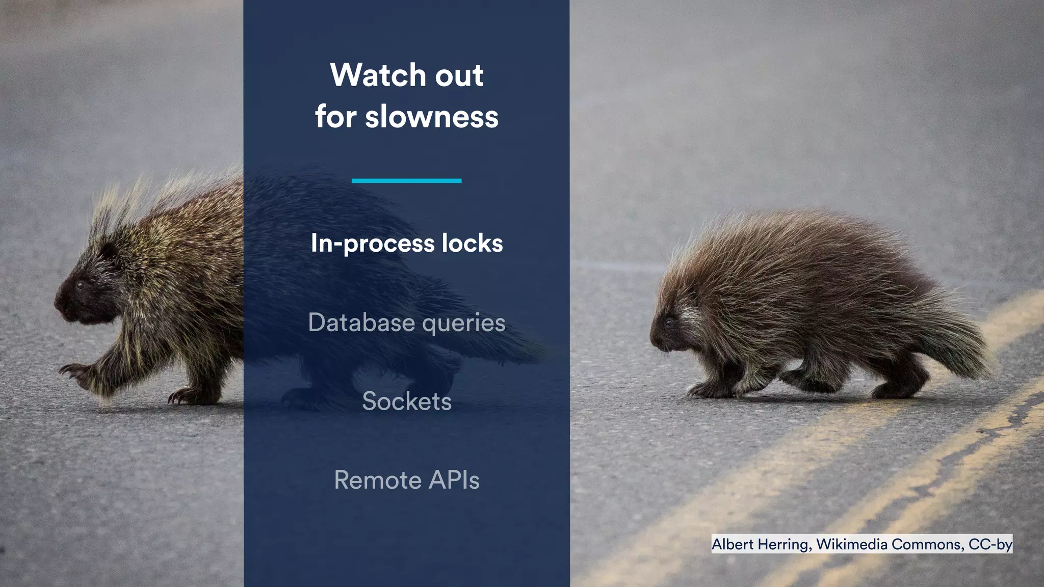 Watch out
for slowness
In-process locks
Database queries
Sockets
Remote APIs
Albert Herring, Wikimedia Commons, CC-by
 