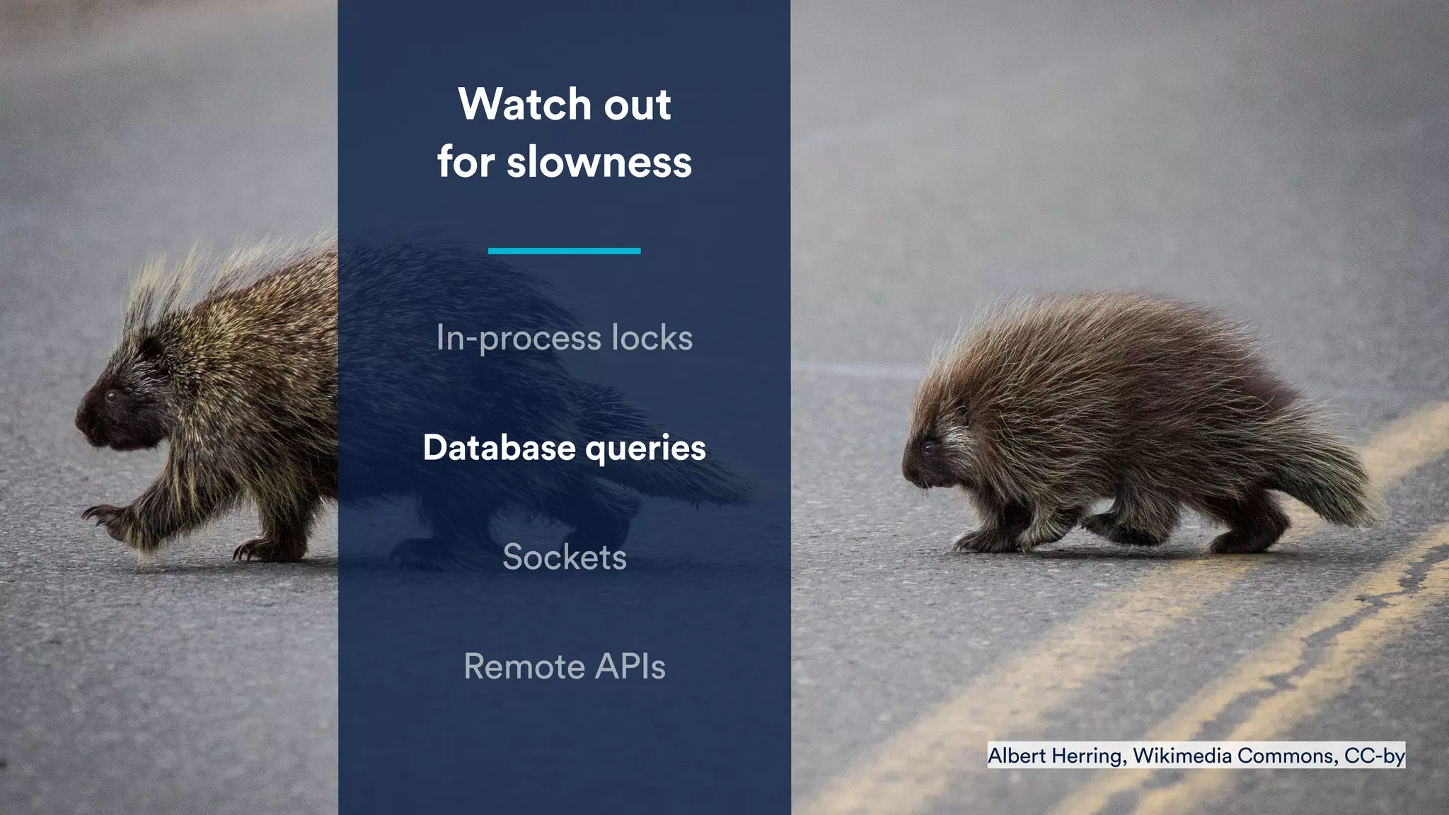 Watch out
for slowness
In-process locks
Database queries
Sockets
Remote APIs
Albert Herring, Wikimedia Commons, CC-by
 