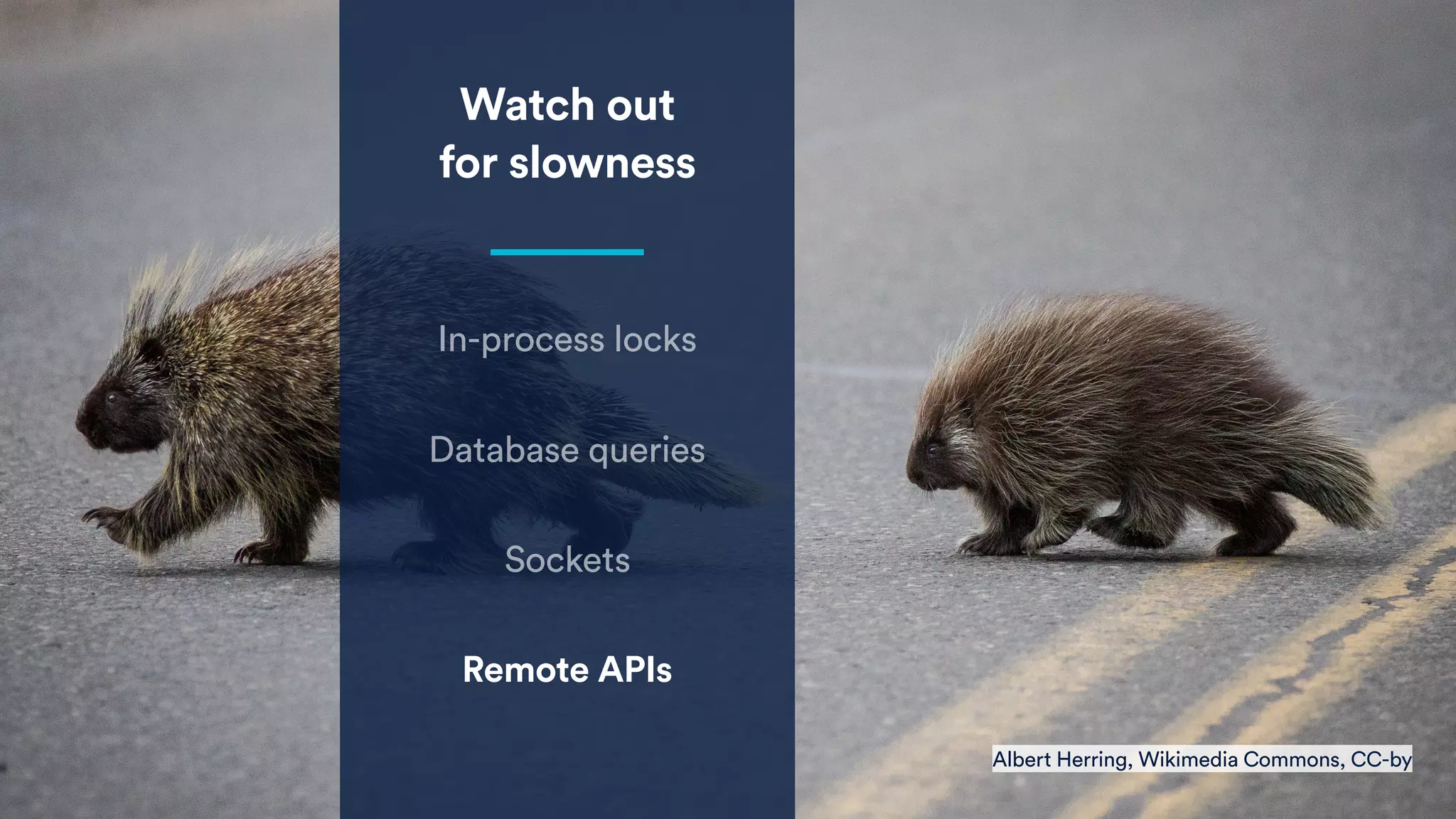 Watch out
for slowness
In-process locks
Database queries
Sockets
Remote APIs
Albert Herring, Wikimedia Commons, CC-by
 