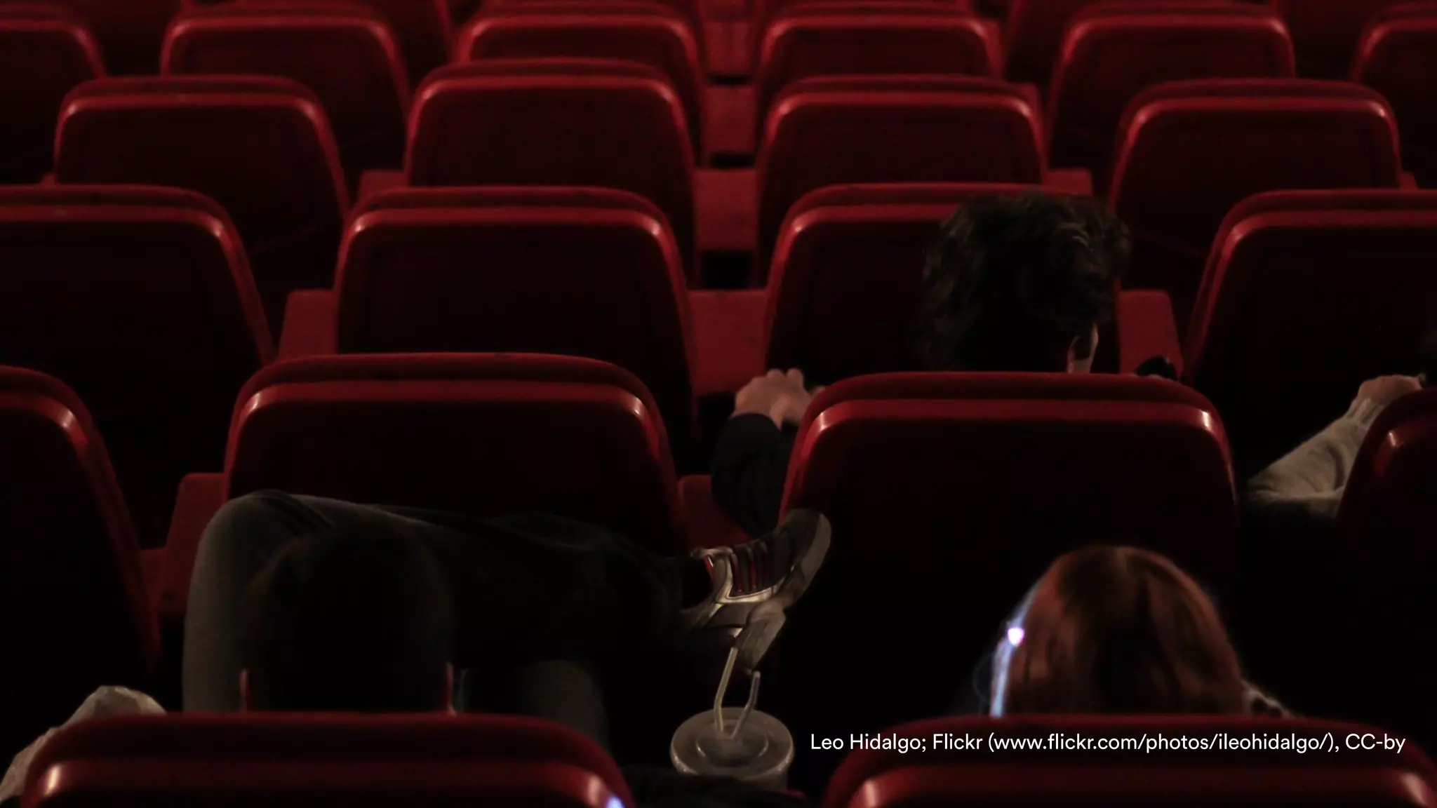 Leo Hidalgo; Flickr (www.flickr.com/photos/ileohidalgo/), CC-by
 