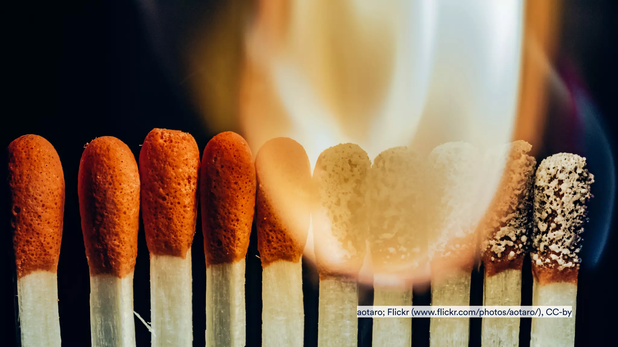 aotaro; Flickr (www.flickr.com/photos/aotaro/), CC-by
 