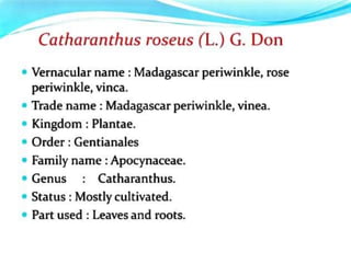 Practice School PPT.pptxbbnnjjhhbffgjjgff