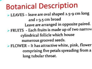 Practice School PPT.pptxbbnnjjhhbffgjjgff