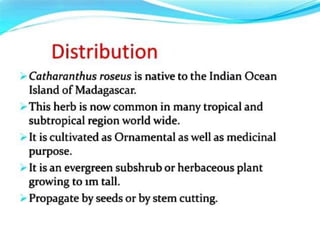 Practice School PPT.pptxbbnnjjhhbffgjjgff