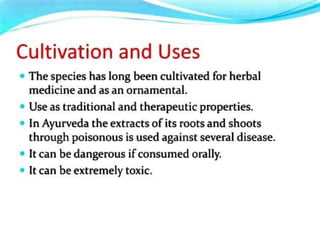 Practice School PPT.pptxbbnnjjhhbffgjjgff