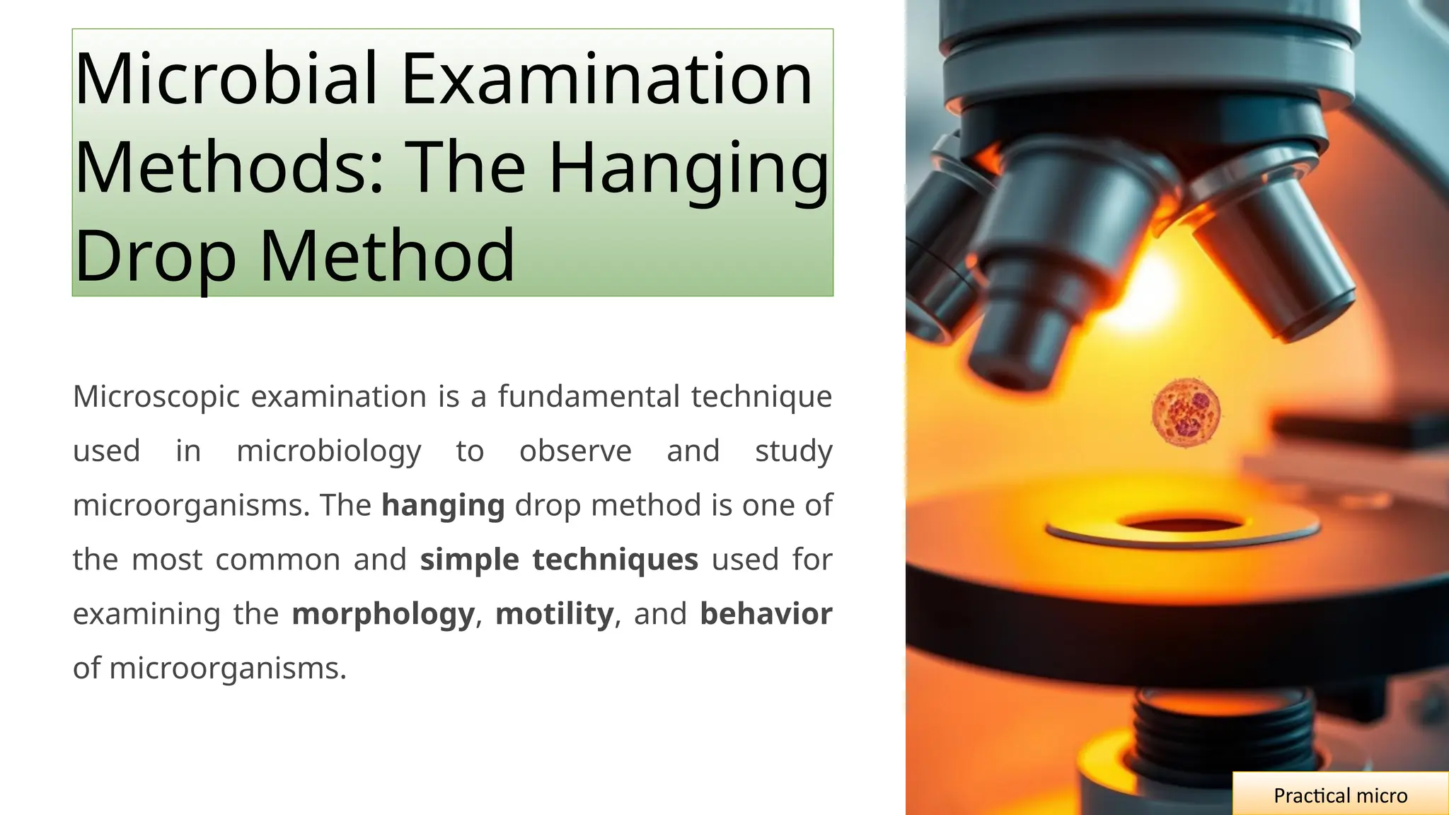 Microbial Examination
Methods: The Hanging
Drop Method
Microscopic examination is a fundamental technique
used in microbiology to observe and study
microorganisms. The hanging drop method is one of
the most common and simple techniques used for
examining the morphology, motility, and behavior
of microorganisms.
Practical micro
 