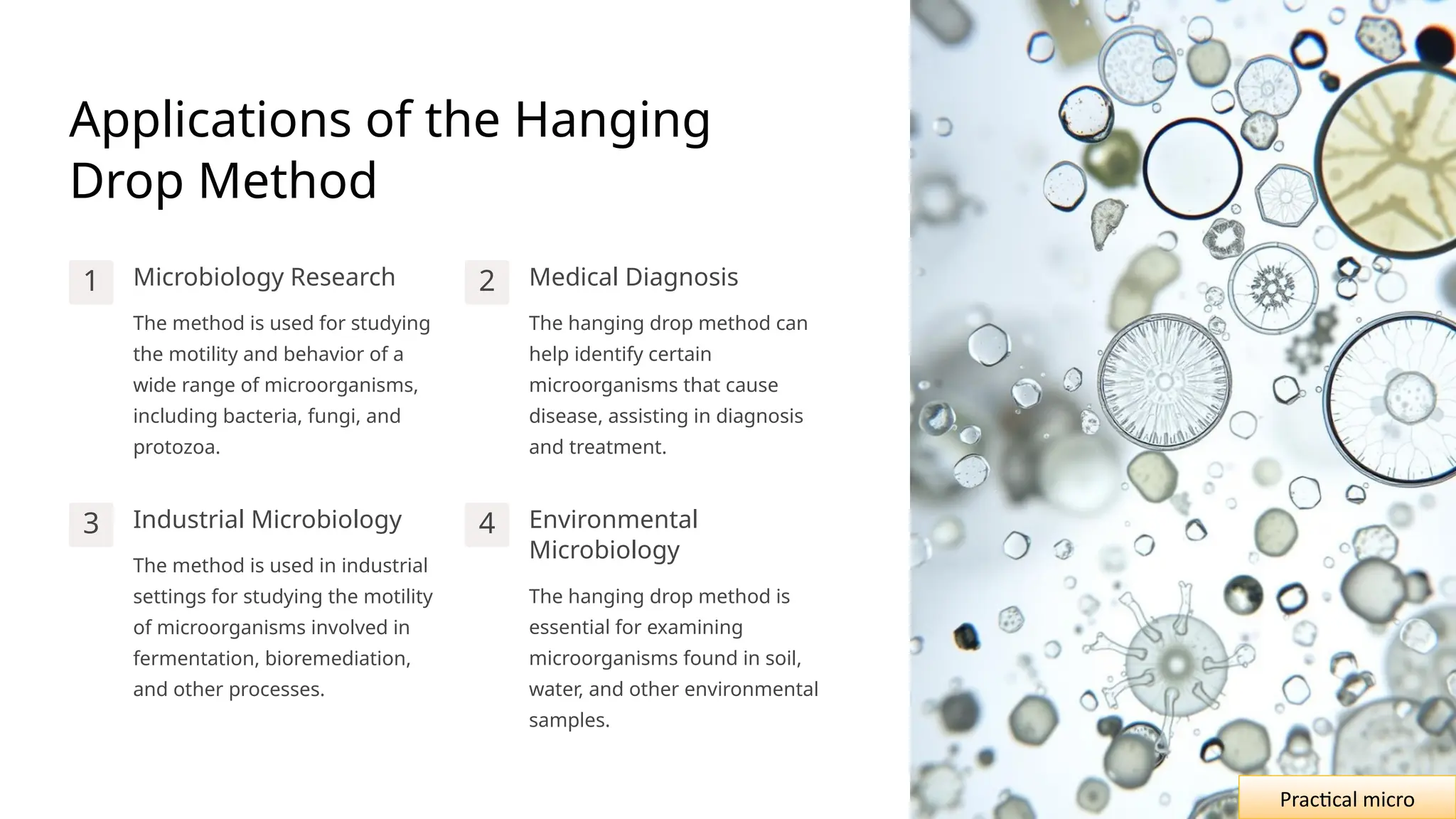 Applications of the Hanging
Drop Method
1 Microbiology Research
The method is used for studying
the motility and behavior of a
wide range of microorganisms,
including bacteria, fungi, and
protozoa.
2 Medical Diagnosis
The hanging drop method can
help identify certain
microorganisms that cause
disease, assisting in diagnosis
and treatment.
3 Industrial Microbiology
The method is used in industrial
settings for studying the motility
of microorganisms involved in
fermentation, bioremediation,
and other processes.
4 Environmental
Microbiology
The hanging drop method is
essential for examining
microorganisms found in soil,
water, and other environmental
samples.
Practical micro
 