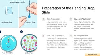 Preparation of the Hanging Drop
Slide
1 Slide Preparation
A depression slide, which has a
well in the center, is used for this
method. This well will hold the
drop of liquid culture.
2 Cover Slip Application
A cover slip is placed on the slide,
creating a seal around the well
and leaving a small space
between the slide and the cover
slip.
3 Petri Dish Preparation
A small drop of culture medium
containing microorganisms is
placed in the center of the cover
slip, and the cover slip is carefully
inverted over the depression
slide.
4 Securing the Slide
Vaseline or petroleum jelly is
applied to the edges of the cover
slip to seal the preparation,
preventing evaporation and
ensuring the microorganisms
remain in a moist environment.
Practical micro
 