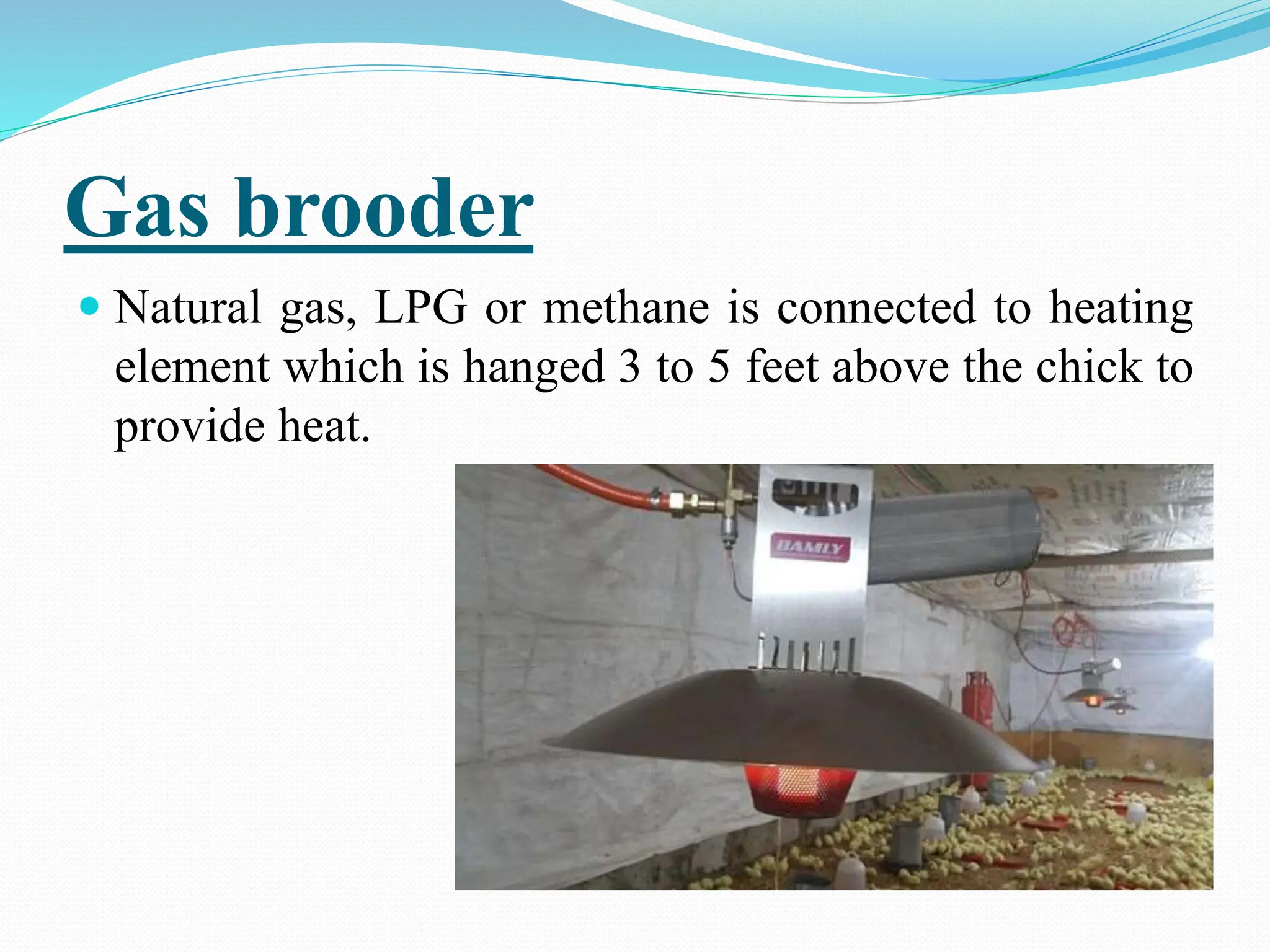 Practices related to brooding.pptx